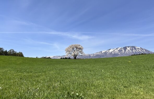 住宅リフォーム等ブログ6690